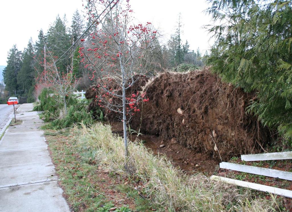 Windstorm impacts Hanukah Eve Storm in December 2006 Winds up to 89 mph 14 deaths in Western Washington* Power out in Duvall 7