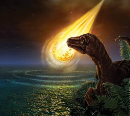 Cretaceous-Tertiary Mass Extinction ~66 mya = Cretaceous-Tertiary or K-T boundary -Large asteroid impacted the Earth caused dramatic changes in the