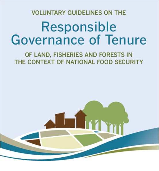 Endorsed on 11 th May 2012 by the United Nations Committee on World Food Security The
