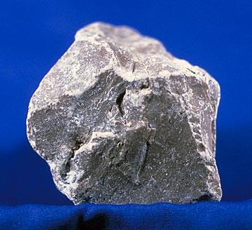 Limestone: Formed by hard shells of once living things such as coral,