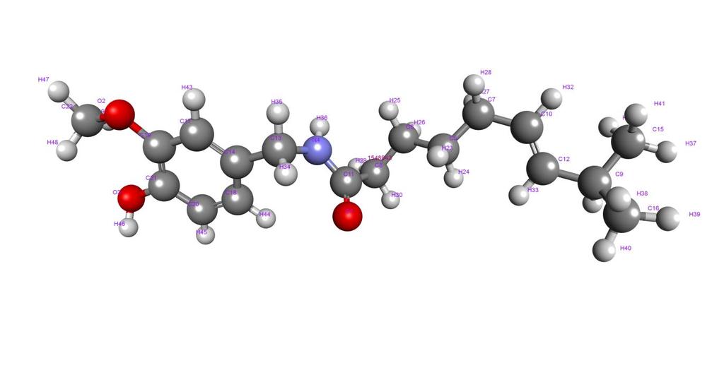 Capsaicin-coated silver nanoparticles inhibit amyloid fibril formation of serum albumin Bibin G.