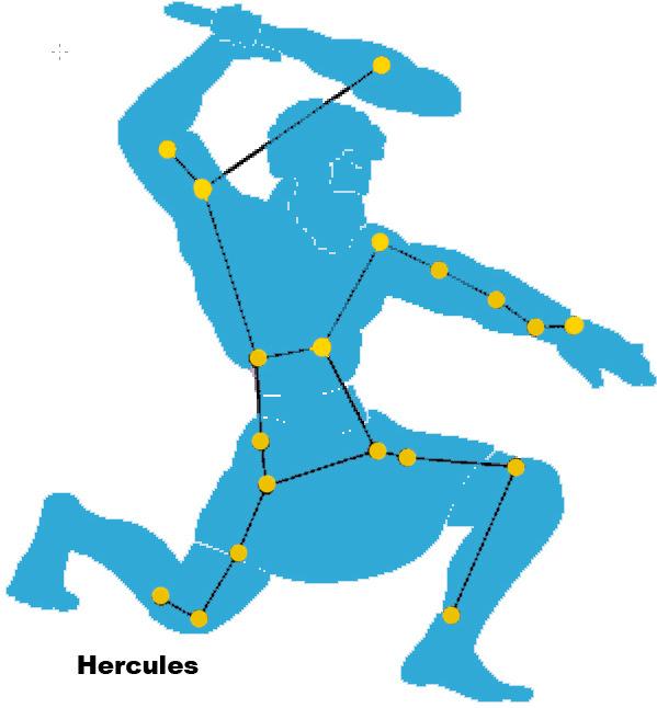 Hercules Latin: Hercules Genitive: Herculis Short form: Her How to find: This constellation is the fifth largest and at its centre comprises a large square with four long arms, representing limbs,