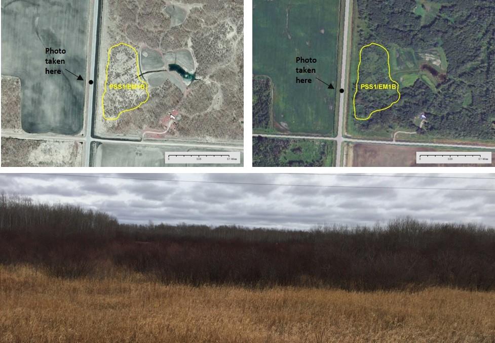 Mixed Wetland Classes In situations where it is difficult to delineate separate vegetation classes, mixed classes are used to classify wetlands that have an even mixture of two vegetation classes.