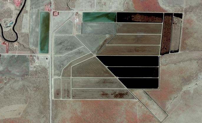 In aerial imagery, peat harvest areas often appear unnatural in shape and may show a series of straight lines from machinery operations (Figure 41).