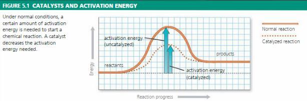 e. Activation Energy i.