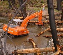 History Removal of woody debris 1950s to 1980s Wood was thought to prevent passage of salmon spawning migrations Realization of importance of large wood Endangered