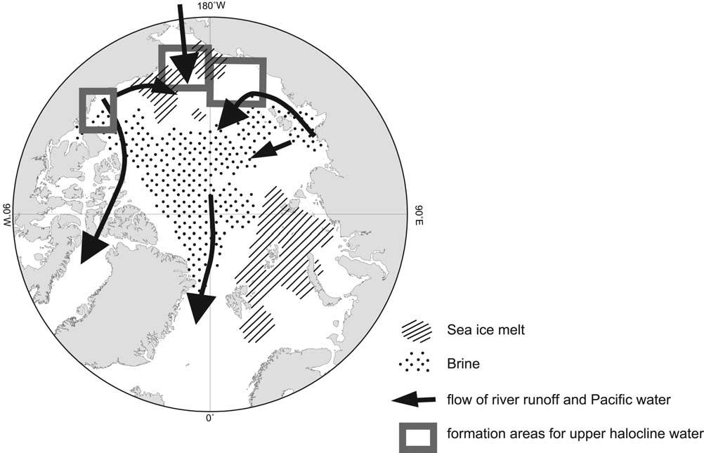 Figure 8. Schematic distribution of brine and sea ice meltwater based on Figure 6a and possible flow paths of river runoff and Pacific inflow as discussed in the text.