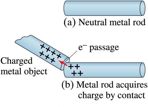 Induced Charge; the Electroscope Metal objects can be charged by conduction: A neutral metal rod in (a) will acquire a (+) charge if placed in contact (b)