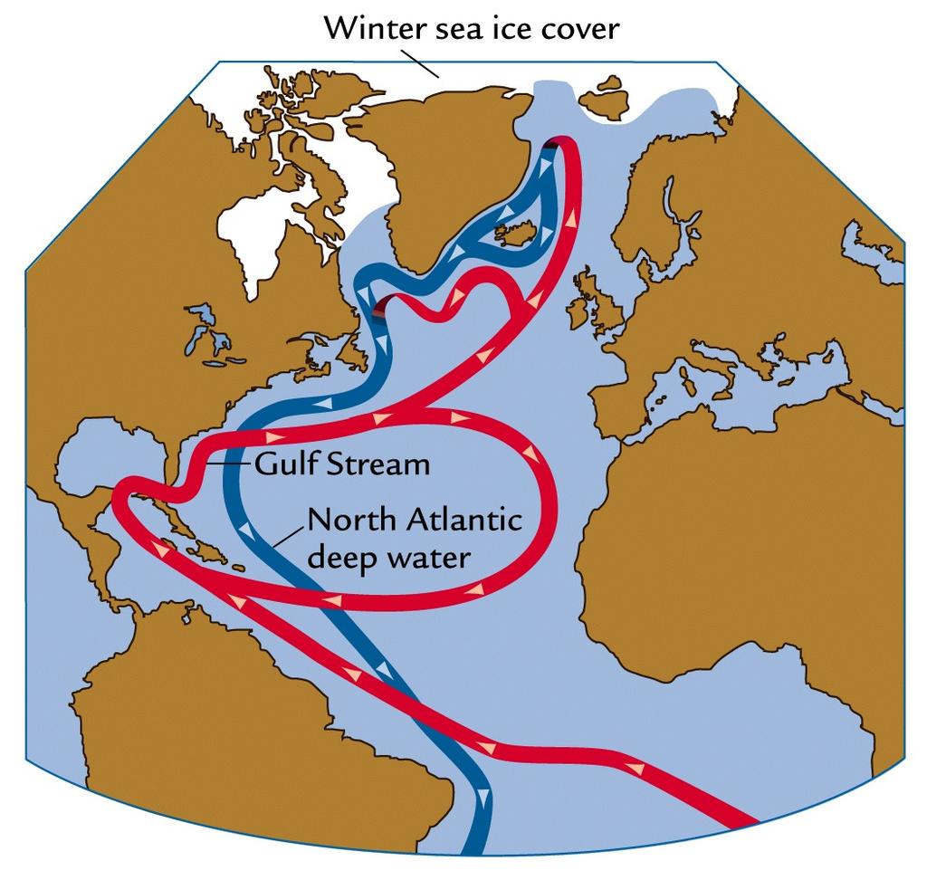 Gulf Stream Western boundary current in Atlantic Narrow, fast-moving from Cuba to Cape Hatteras Decreases speed across N.