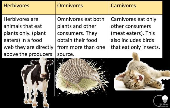 Three feeding roles that species can have in a community are as producers, consumers or
