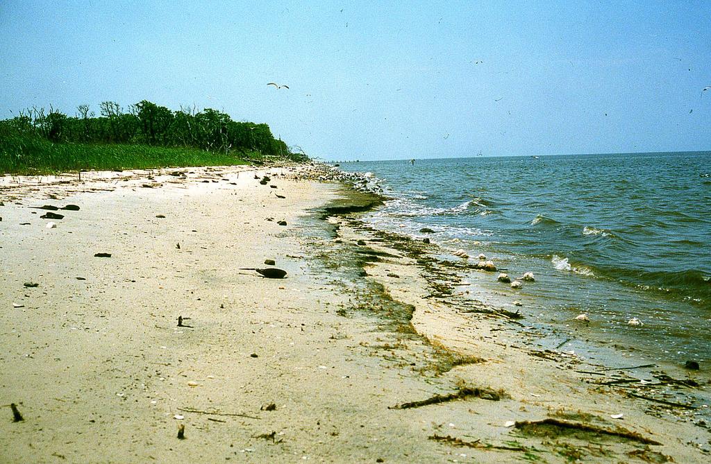 By the late 1980 s, we began to see evidence of rising sea level and beach erosion along