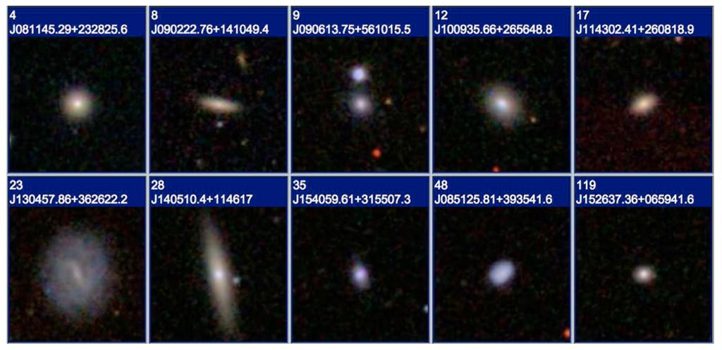 Dwarf galaxies with optical signatures of active massive BHs First systematic