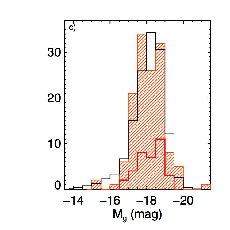 Dwarf galaxies with optical signatures of active massive