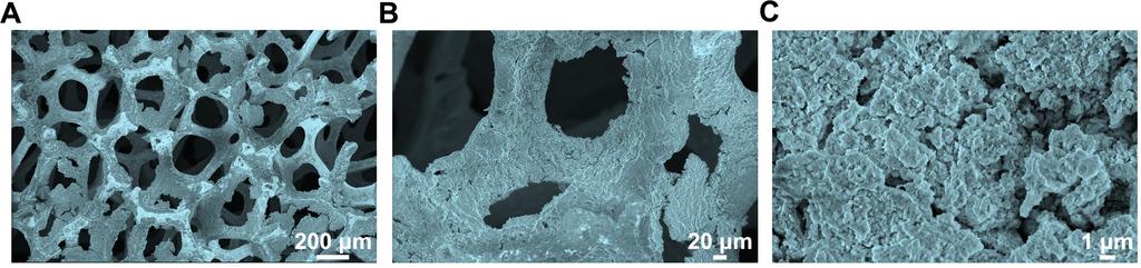 Fig. S6. Typical SEM morphologies of the Fe(PO3)2 electrode after 10,000-cycle OER testing. Fig. S7.