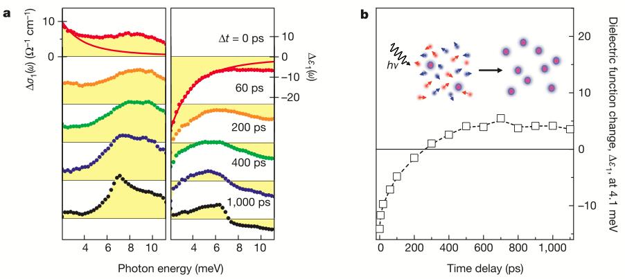 Figure 3.2 Non-resonant exciton formation. a) Exciton formation with 21 mev excess energy at a lattice temperature of 6 K.