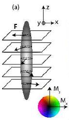 The Bose Ferromagnet Stamper-Kurn