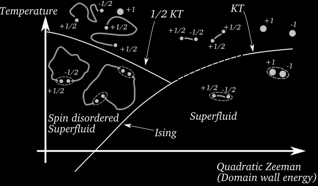 Conjectured phase diagram Austen Lamacraft (University of Virginia)