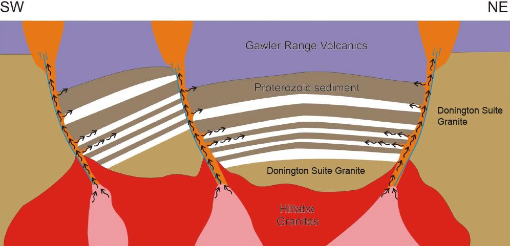Figure 3. Schematic geological model for the Punt Hill project, showing packages of Palaeoproterozoic calcareous silicicalstc sediments juxtaposed against Donington Suite granite.