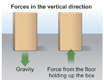 The net force in vertical direction Gravity exerts a force downward on