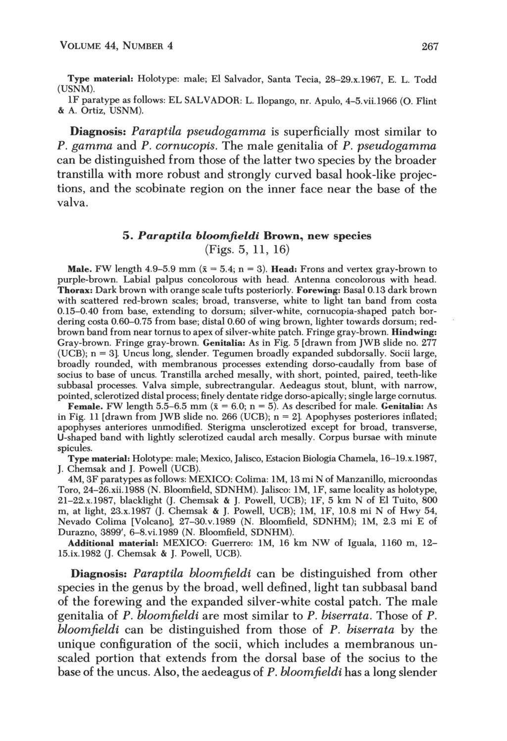 VOLUME 44, NUMBER 4 267 Type material: Holotype: male; El Salvador, Santa Tecia, 28-29.x.1967, E. L. Todd (USNM). IF paratype as follows: EL SAL V ADOR: L. I\opango, Dr. Apulo, 4-5. vii.l966 (0.