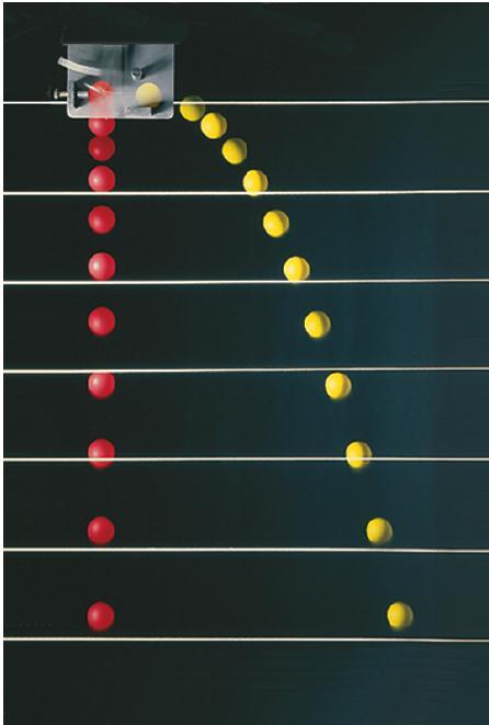 The speed in the x-direction is constant; in the y-direction the object moves with constant acceleration g. This photograph shows two balls that start to fall at the same time.