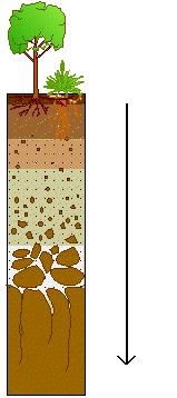 2. SOILS The diagram shows a typical soil profile.