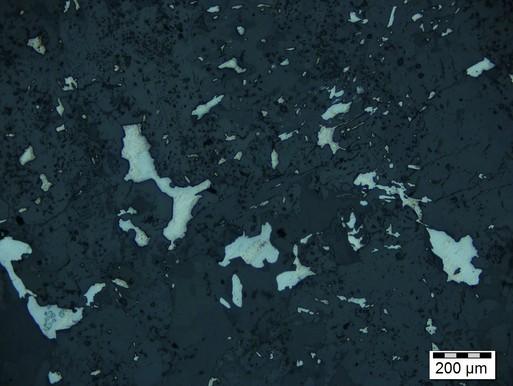 Calcite forms interstitial and xenoblastic crystals of up to 2 mm. Dolomite is concenated in the upper left part of the polished thin section.
