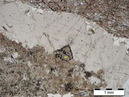 Photomicrograph 5c: Veinlets of carbonate and rare white mica crosscut the songly