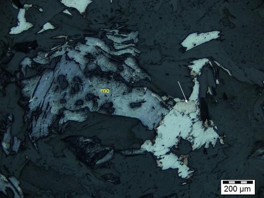 It is dispersed in an irregular cluster associated with xenoblastic bismuthinite, as well as subordinate bismuth (Photomicrograph 6b) and