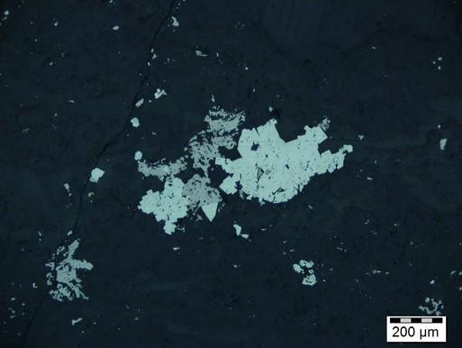 Photomicrograph 8c: Irregular clusters of idioblastic pyrite (white) and xenoblastic