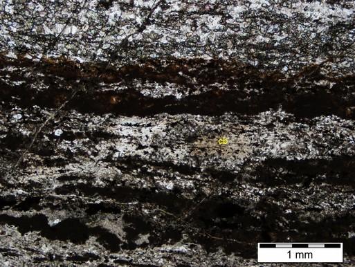 fractures and carbonate-bearing veinlets. Plagioclase prevails over the epidote in the middle zone of the polished thin section (see white zone in the image above).