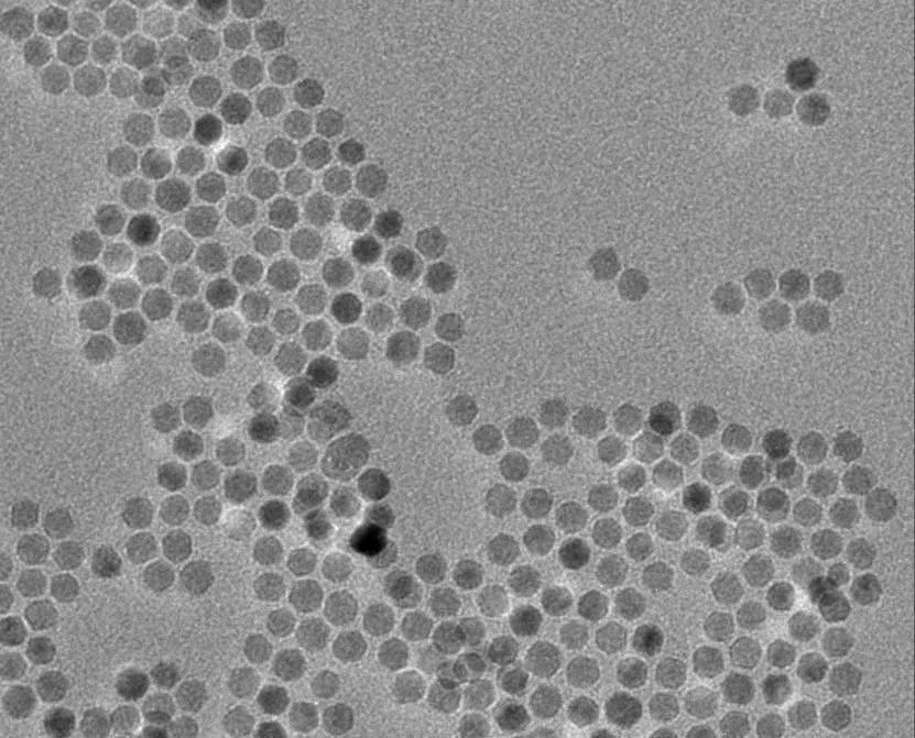 Iron Oxide Nanoparticles: Modified