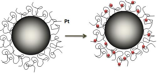 Approach for Multiple Pt Attachment: Aqueous Phase Phase transfer Iron oxide Nanoparticle Biocompatible