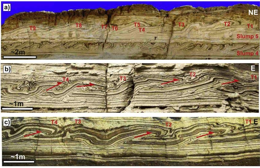 LISAN FORMATION Sequence of alternating aragonite-rich & detrital laminae (sub-mm scale) Represent annual varve-like cycles- aragonite-rich laminae precipitating from hypersaline