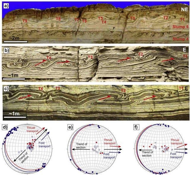 ORIENTATION & GEOMETRY Orientation of transport direction and associated paleo slope inferred to be 045 O in Peratzim area Trends of fold