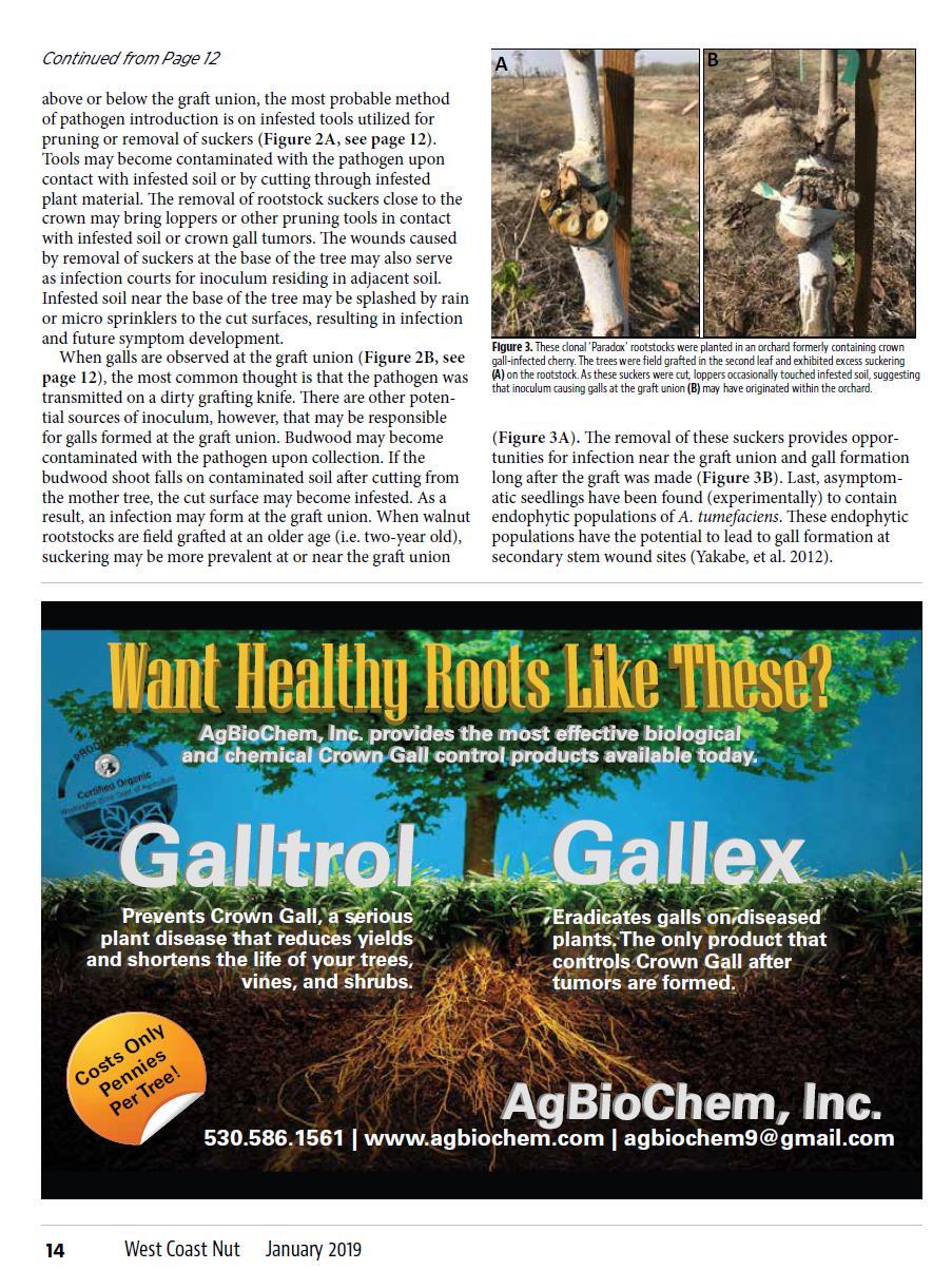 Biological Control Pre-plant/protectant Agrobacterium radiobacter Commercial names: Galltrol A, Norbac 84C, Nogall, or Diegall Efficacy