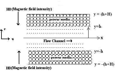 suitable for the description of the Newtonian blood flow under the action of an applied magnetic field, is proposed by Tzirtzilakis (2005).