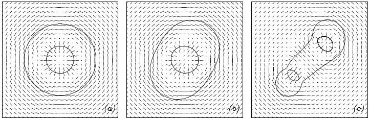 Lensing Theory Shear field for: