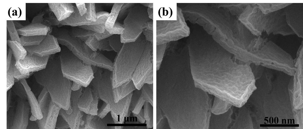 Fig. S2 (a) and (b) SEM images of