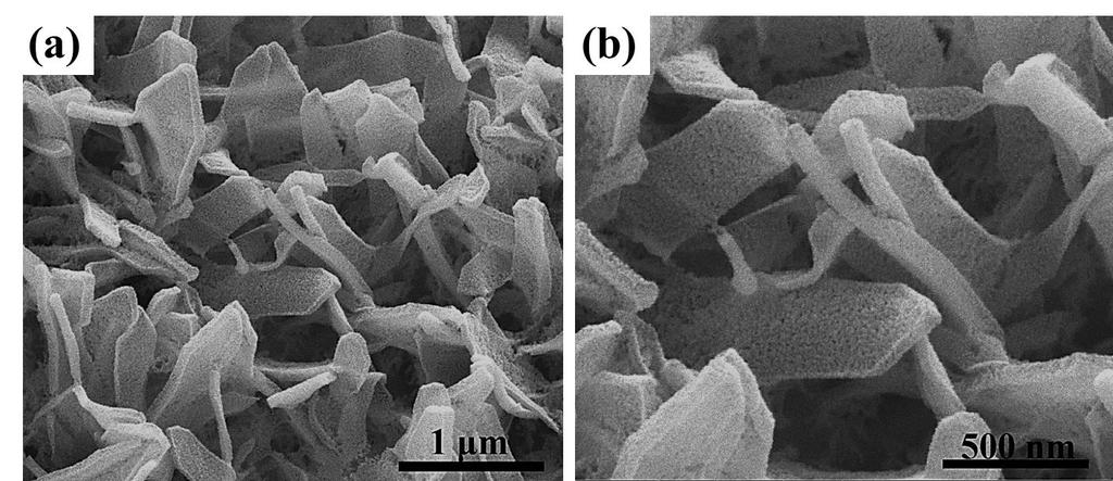Fig. S5 (a) and (b) SEM images of