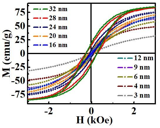 Fig. S6: Room temperature field-dependent magnetization curves of different sized Fe 3 O 4 nanoparticles.