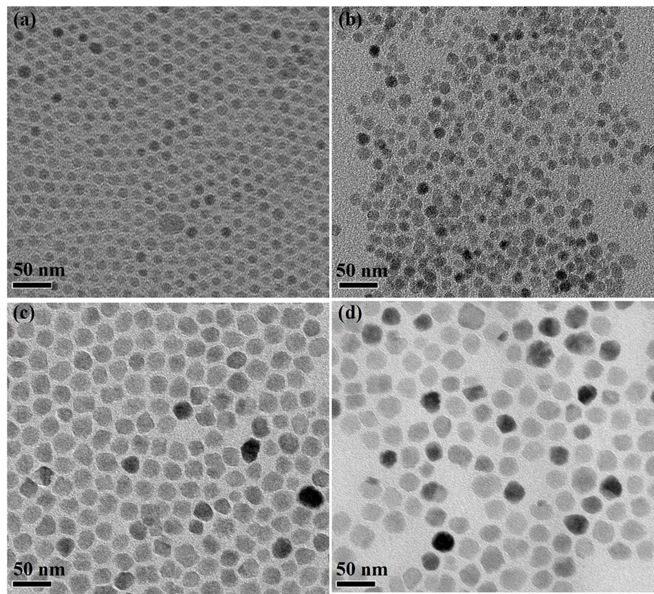 Fig. S8: TEM micrographs of Fe 3 O 4 nanoparticles of average size 9 (a and b) and 28 (c and