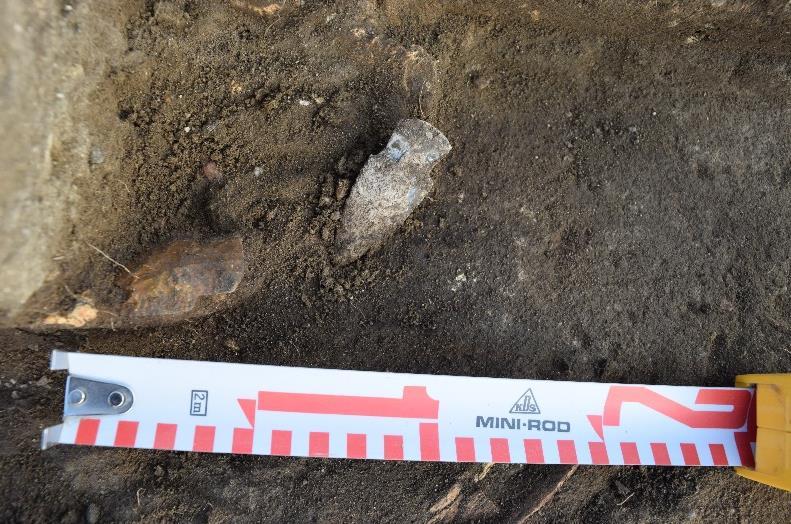 2 clearly a result of human butchering. An additional two Scottsbluff points were recovered in both years from the ploughzone and a rodent burrow in Units 5 and 6, respectively.