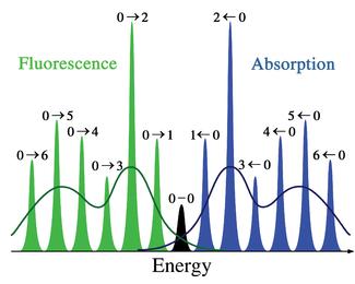 The absorption and fluorescence intensities are affected accordingly.