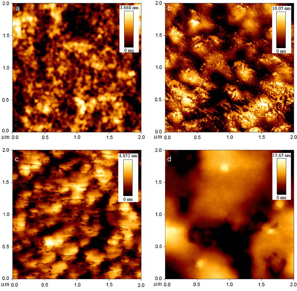 J.-H. Huang et al. / Solar Energy Materials & Solar Cells 94 (2010) 22 28 25 Fig. 3. AFM images of the blended films in various ratios (a) (1:1), (b) (1:4), (c) (1:1), and (d) (1:4).