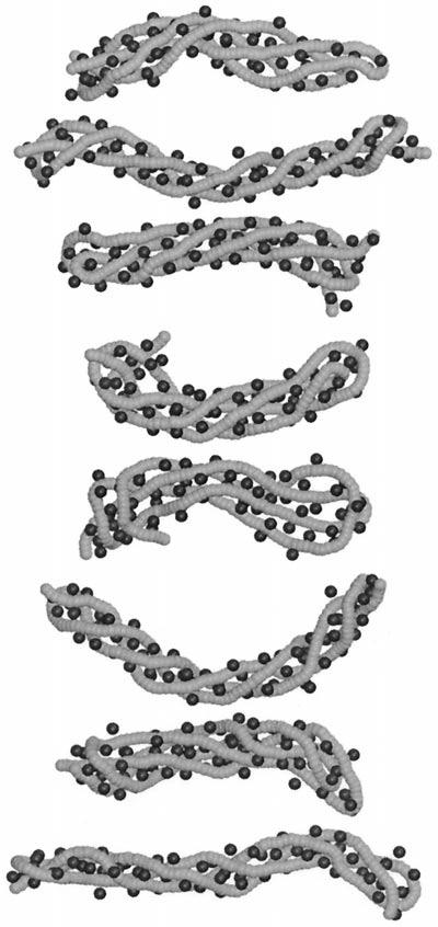 Simple Simulations of DNA Condensation 135 FIGURE 5 Images of rod structures for N 256 molecule (light spheres) with z c 4 counterions (dark spheres). This is system 2 in Table 3.