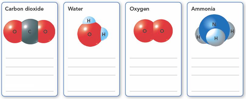 How many atoms are in each of these molecules? (p.
