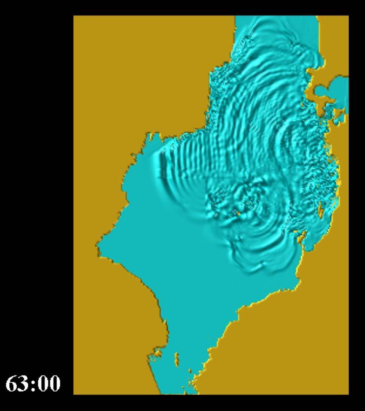 Simulation of The 1983 Nihon-kai Chubu Earthquake Tsunami Sea level change Rise Fall Tsunami source Set as the sea water surface changed