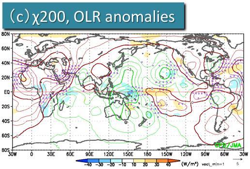 1.7 (b) and (c)). The planetary waves originating from the troposphere partially turned downward around Canada in the lower stratosphere (Fig. 3.1.7 (b) and (c)), which may have contributed to the enhancement of the trough over central and eastern North America (Fig.