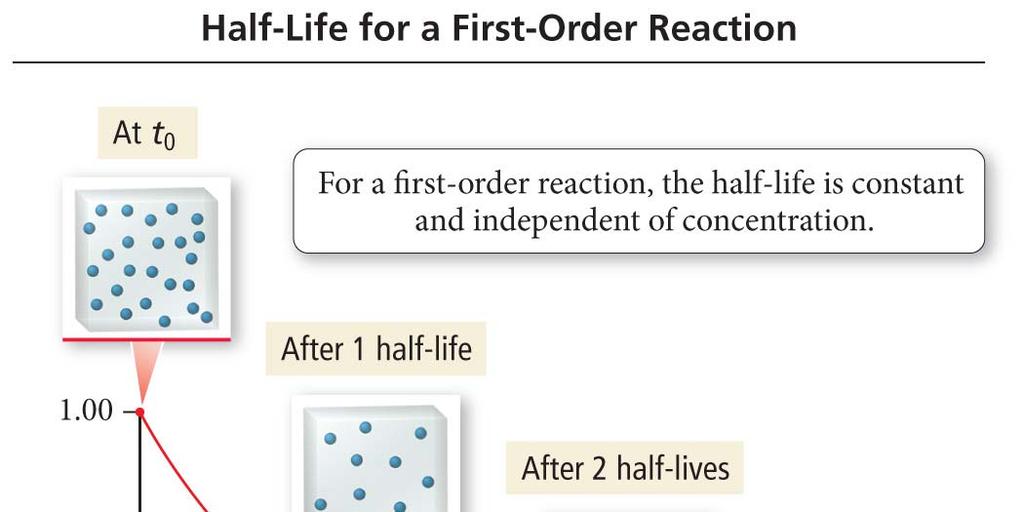 Half-life Definition: